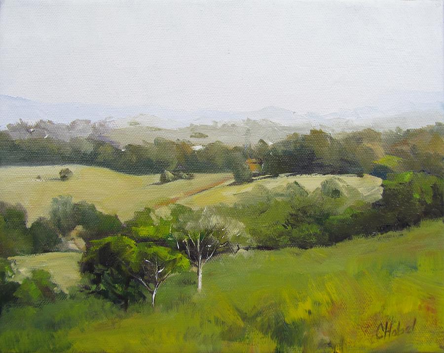 Oil Painting from Mt Cooroy Sunshine Coast Queensland Australia Painting by Chris Hobel