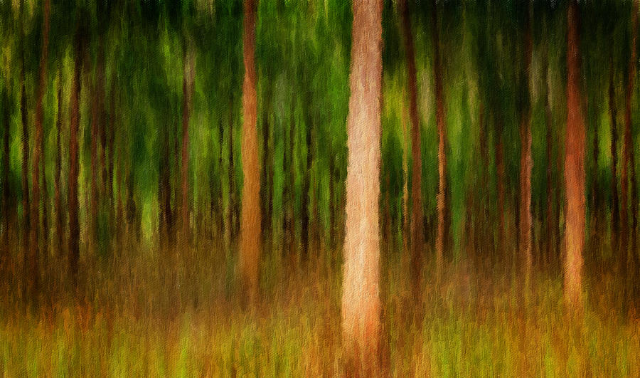 Oil painting impression of mahogany forest Photograph by Steven Heap