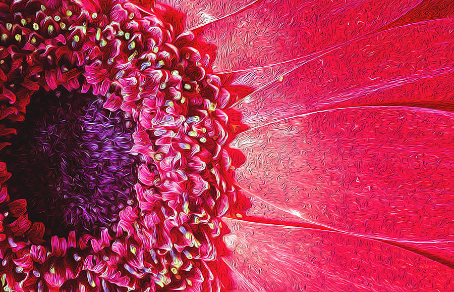 Oil Painting Poster of a Bright Pink Chrysanthemum Photograph by John Williams