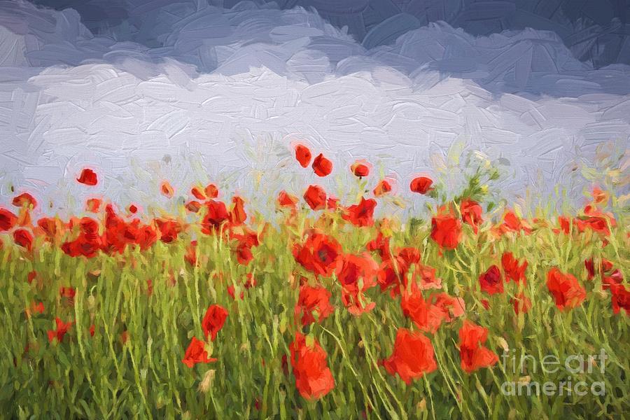 Oil painting summer landscape - field of poppies. Original oil painting ...