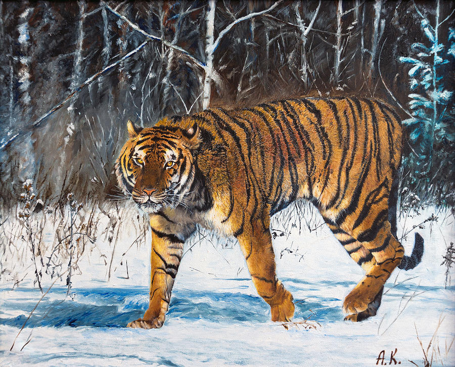 Oil painting The tiger Painting by Anastasia Korikova - Pixels