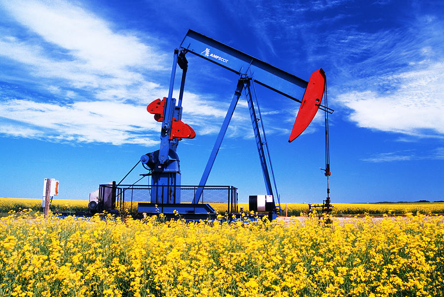 Oil Pumpjack And Canola Field, Arcola Photograph by Dave Reede