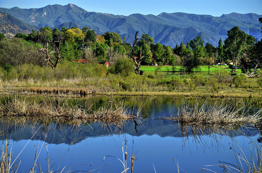Ojai Meadows One Photograph by Wendell Ward