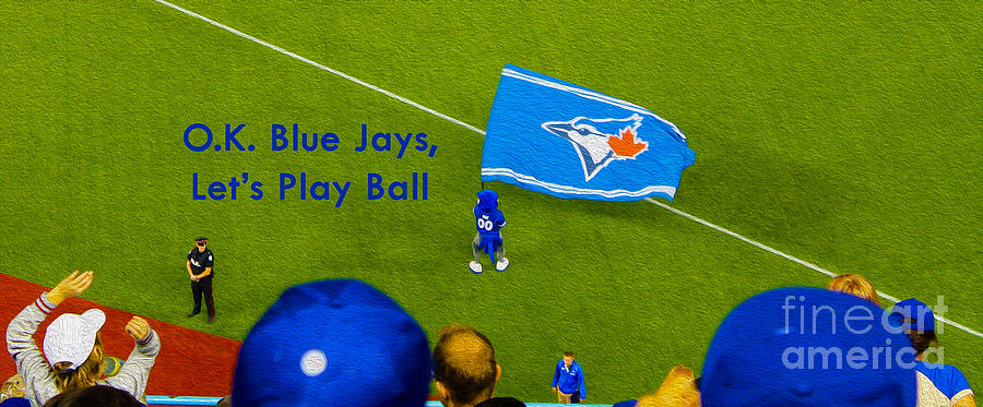 O.K. Blue Jays Lets Play Ball Photograph by Nina Silver