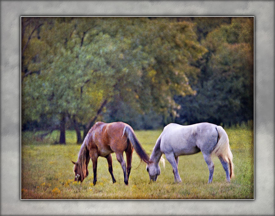 Ok Horse Ranch_2b Photograph by Walter Herrit