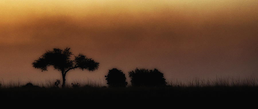 Okavango Sunset Photograph by Claudio Bacinello