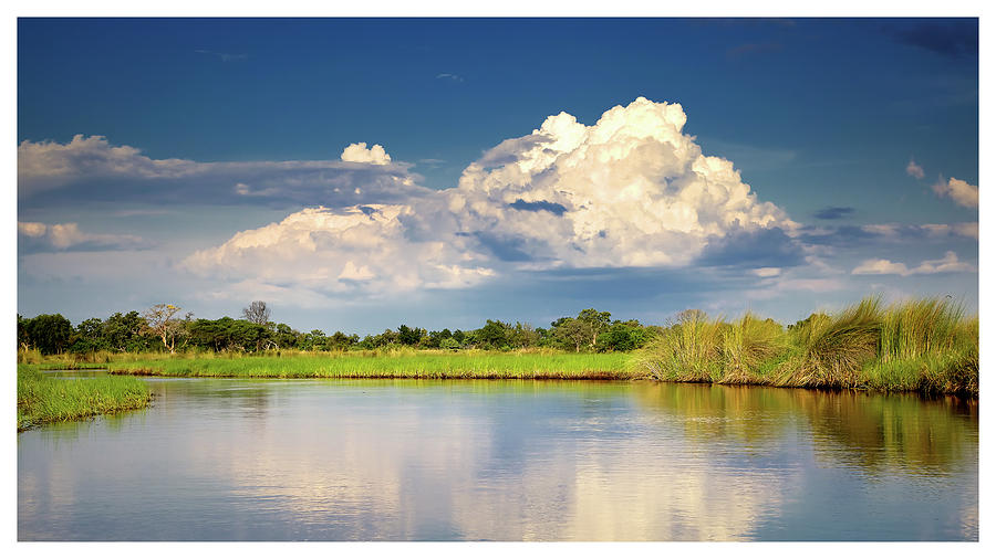 Okavango view Photograph by Alberto Audisio Okavango view Photograph by Alberto Audisio