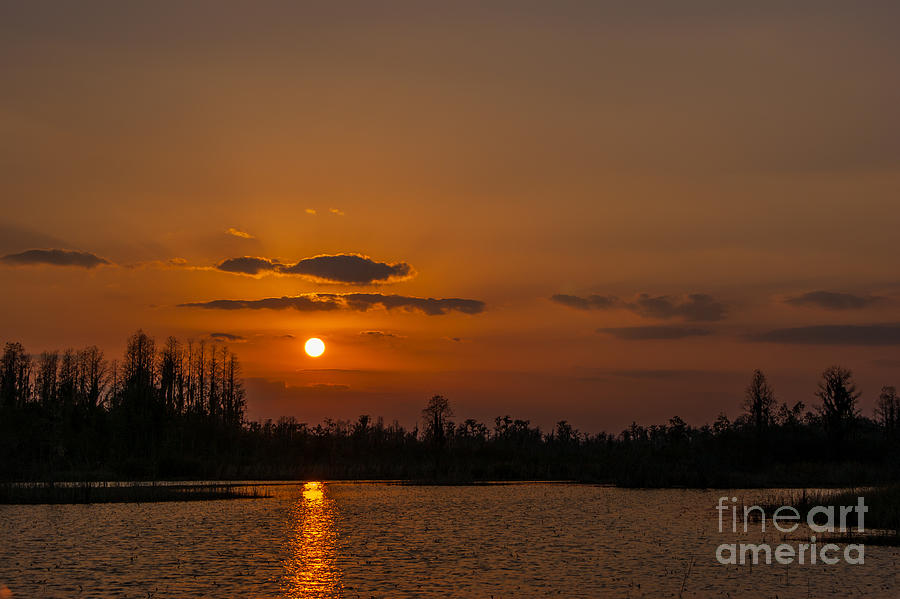 Okefenokee Sunset Photograph by Southern Photo