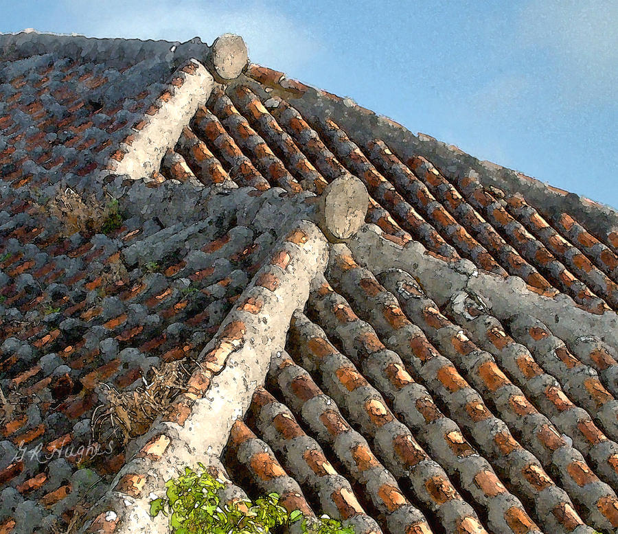 Okinawan Roof Digital Art by Gary Hughes