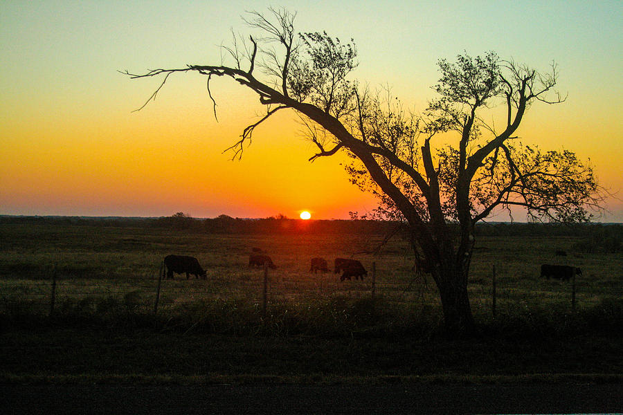 Sunset Photograph - Oklahoma Sunset by Gotcha Pics Photography