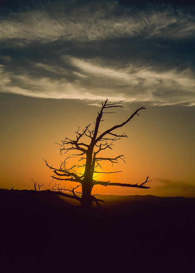 Oklahoma Sunset Photograph by Robert Potts