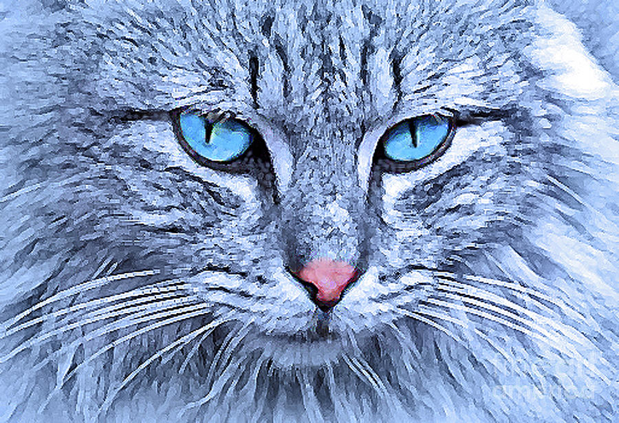 Cat Digital Art - Ol Blue Eyes by Maureen Tillman