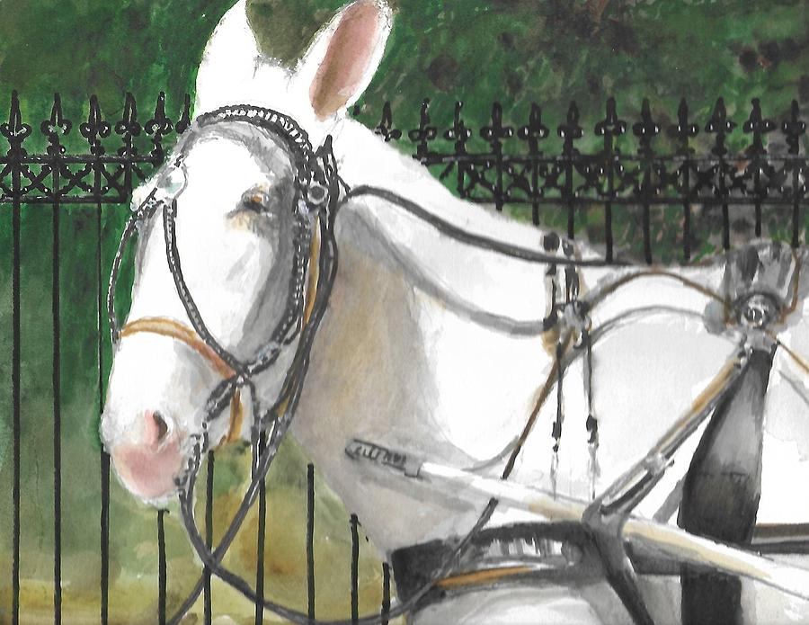 Ol White Mule Painting by Bobby Walters