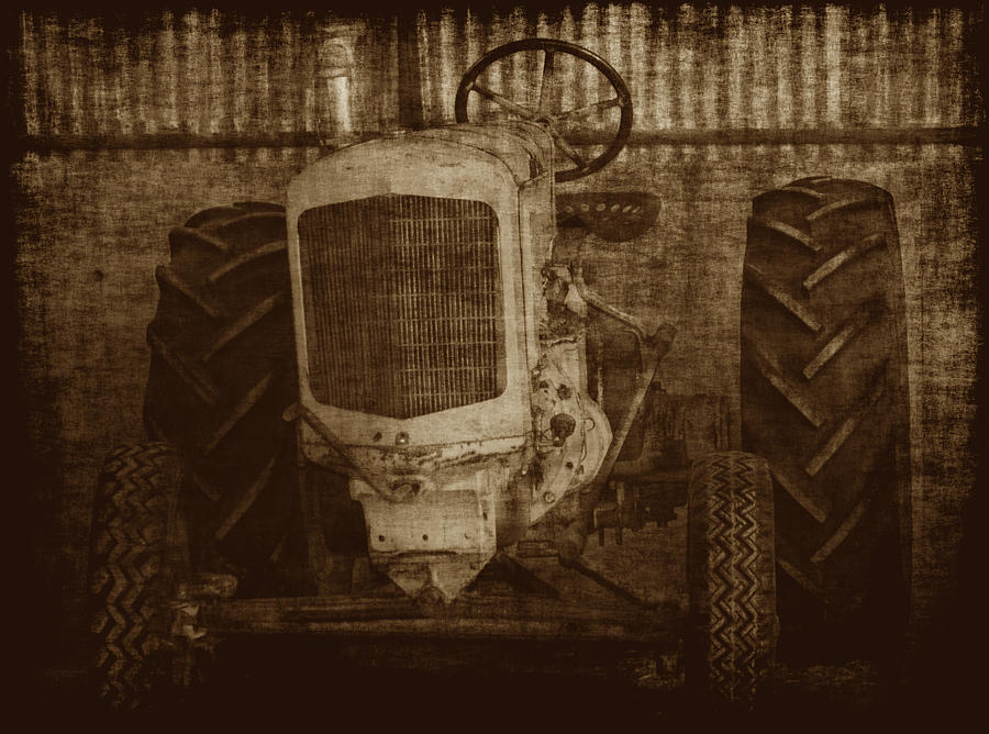Ol Yeller in Sepia Photograph by Ernest Echols