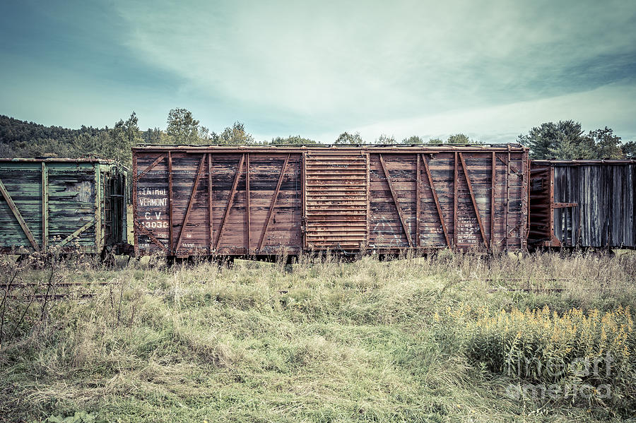 Fall Photograph - Old Abandoned Box Cars Central Vermont by Edward Fielding