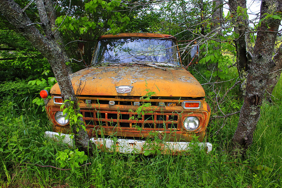 Old abandoned Ford truck in the forest Photograph by Gary Corbett