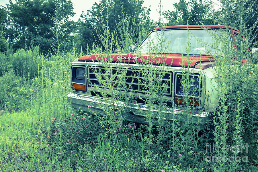 Vintage Photograph - Old Abandoned Pickup Truck in the Weeds by Edward Fielding