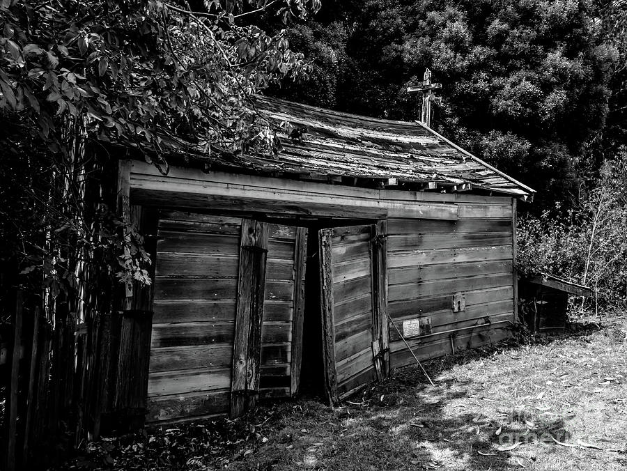 Old Abandoned Shed Fort Ross in Black and White Photograph by Blake Webster