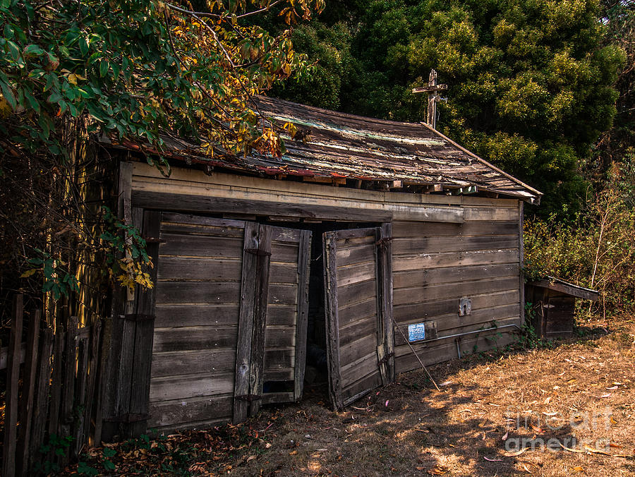 Old Abandoned Shed Sonoma County Photograph by Blake Webster