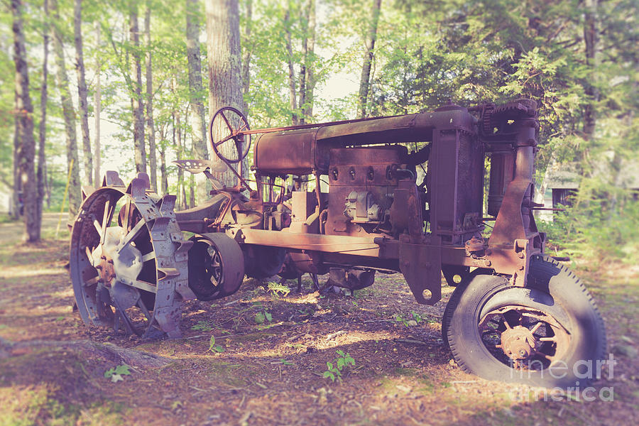 Old abandoned tractor in the woods Photograph by Edward Fielding
