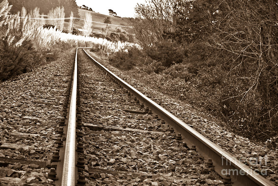 Old abundant railway Photograph by Yurix Sardinelly