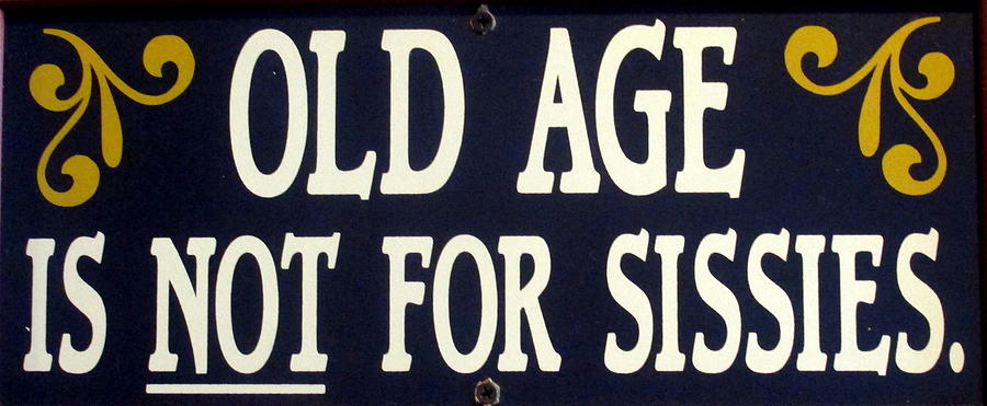 Vintage Photograph - Old Age Is Not For Sissies by Kay Novy