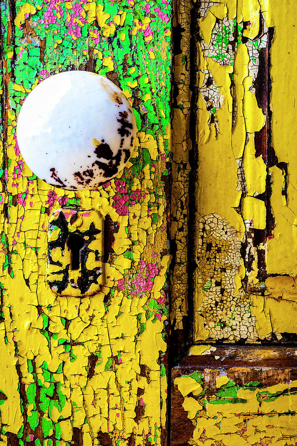Old Aged Door With Doorknob Photograph by Garry Gay