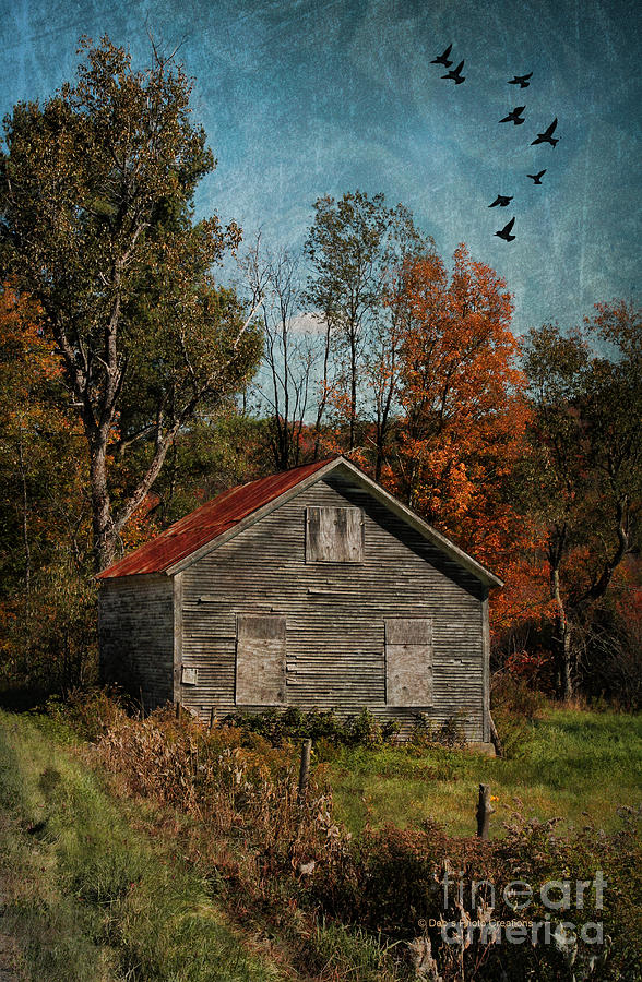 Old and Abandoned in Vermont Photograph by Deborah Benoit