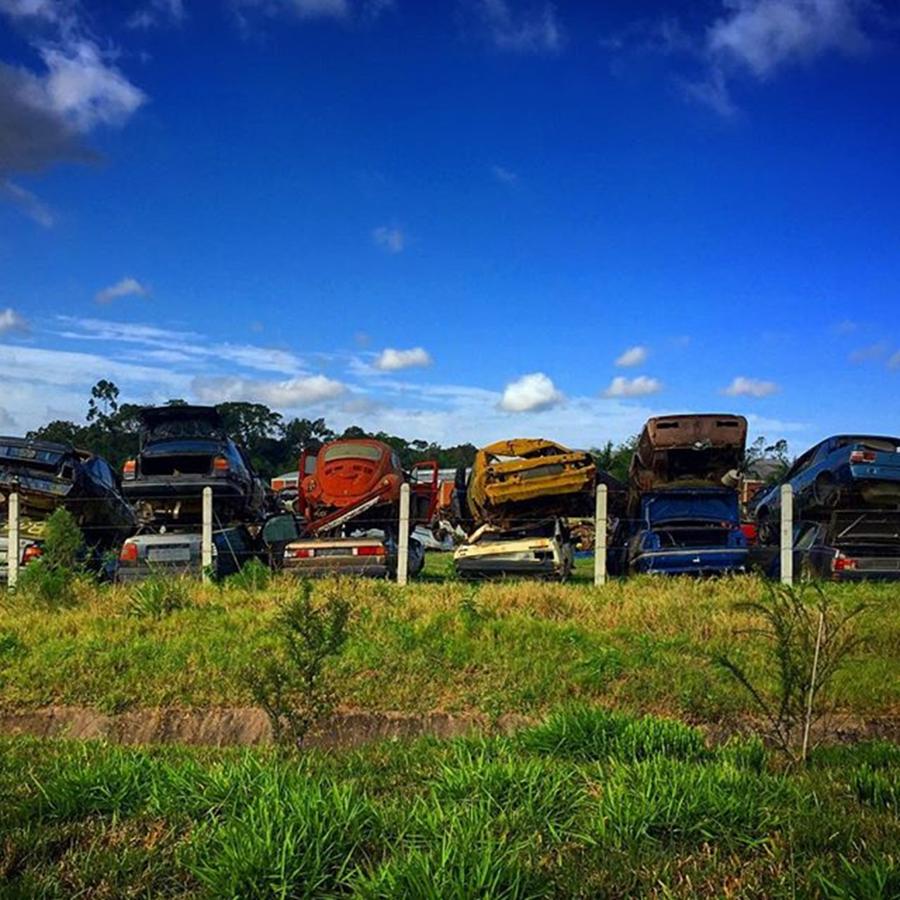 Landscape Photograph - Old And Abandoned Vehicles In Junk Yard by Kiko Lazlo Correia