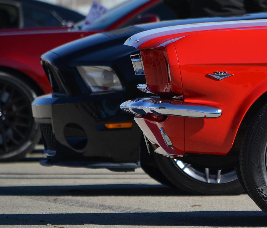 Old and New Mustangs Photograph by Dean Ferreira