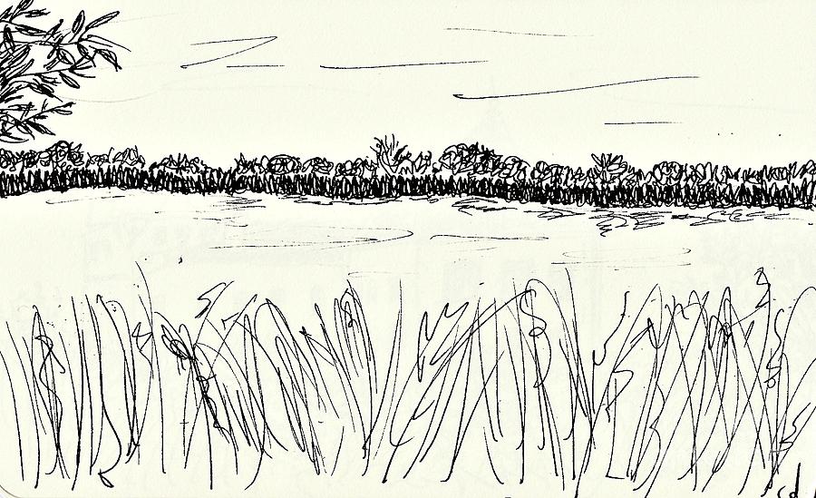 Old arm of the river Elbe Drawing by Chani Demuijlder