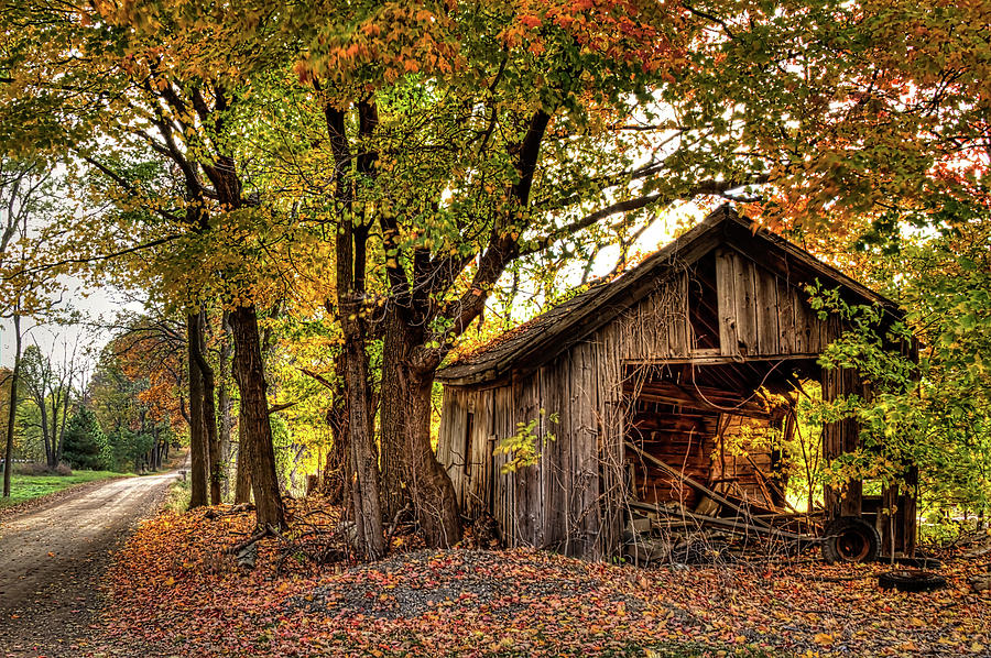 Old Autumn Shed Photograph by Richard Gregurich