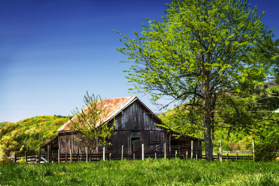 Old Backyard Barn Photograph by Alan Hausenflock