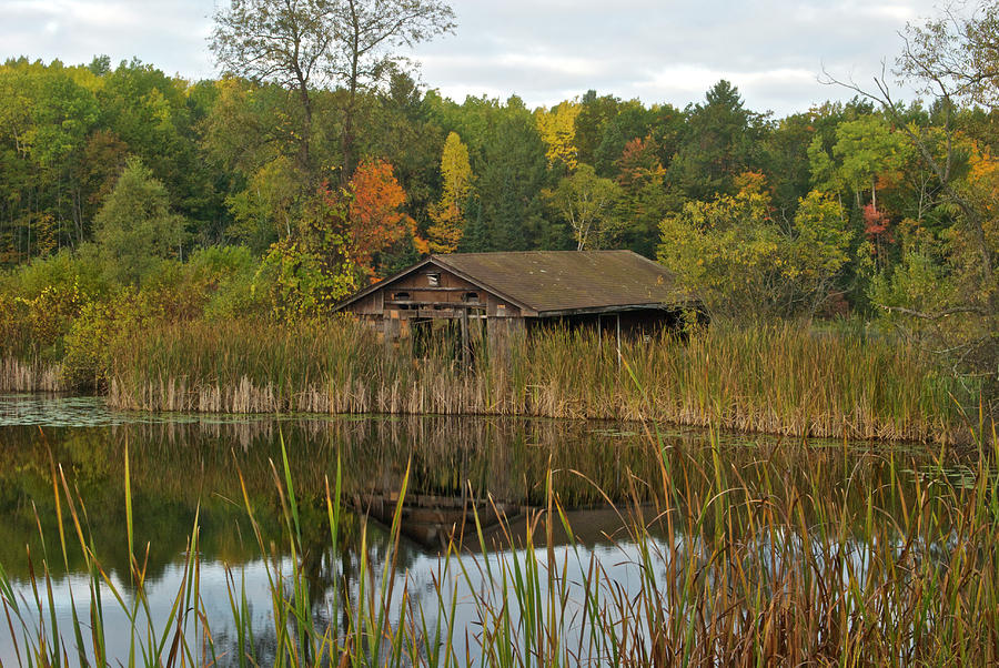 Old Bait Shop on Twin Lake_9626 Photograph by Michael Peychich