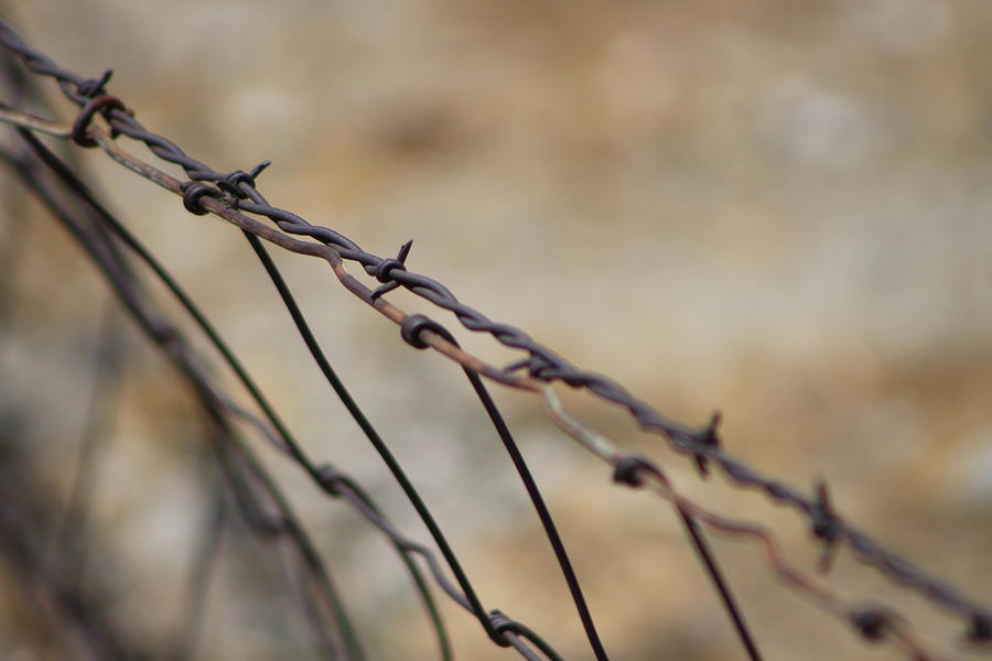 Old Barbed Wire in Brown Tones Photograph by Colleen Cornelius