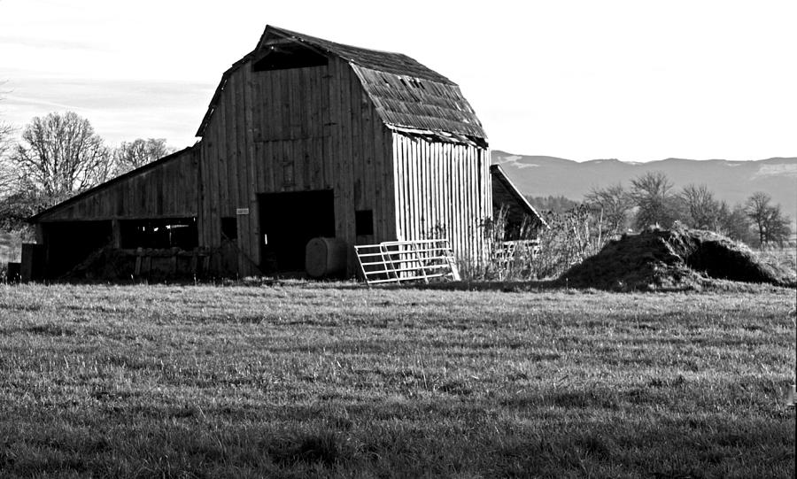 Old Barn 2 Photograph by Kami McKeon