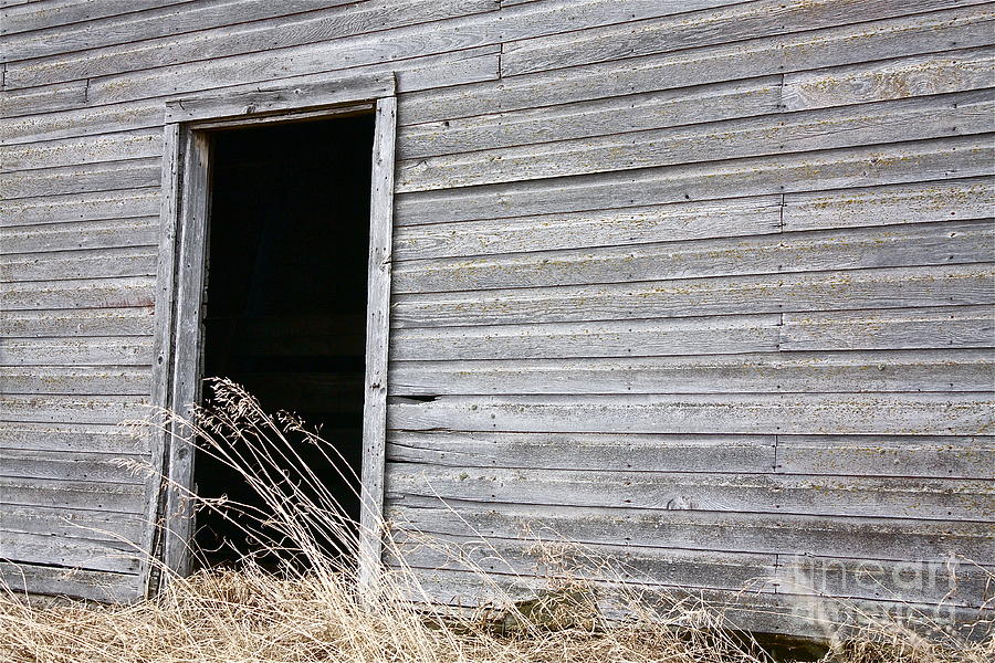 Old Barn 2 Photograph by Linda Bianic