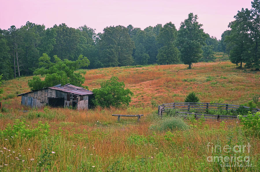 Old Barn and Corral Photograph by Debbie Portwood