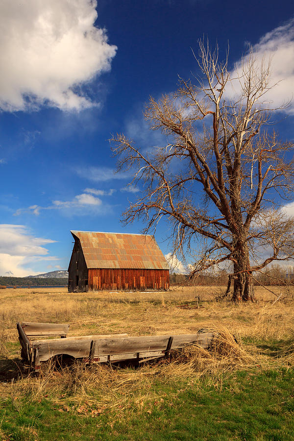 Old Barn And Wagon Photograph by James Eddy