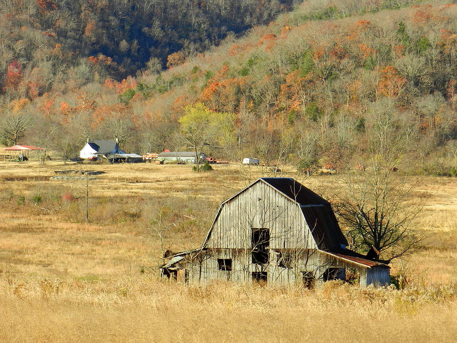 #85 Old Barn Photograph by Delana Epperson - Fine Art America