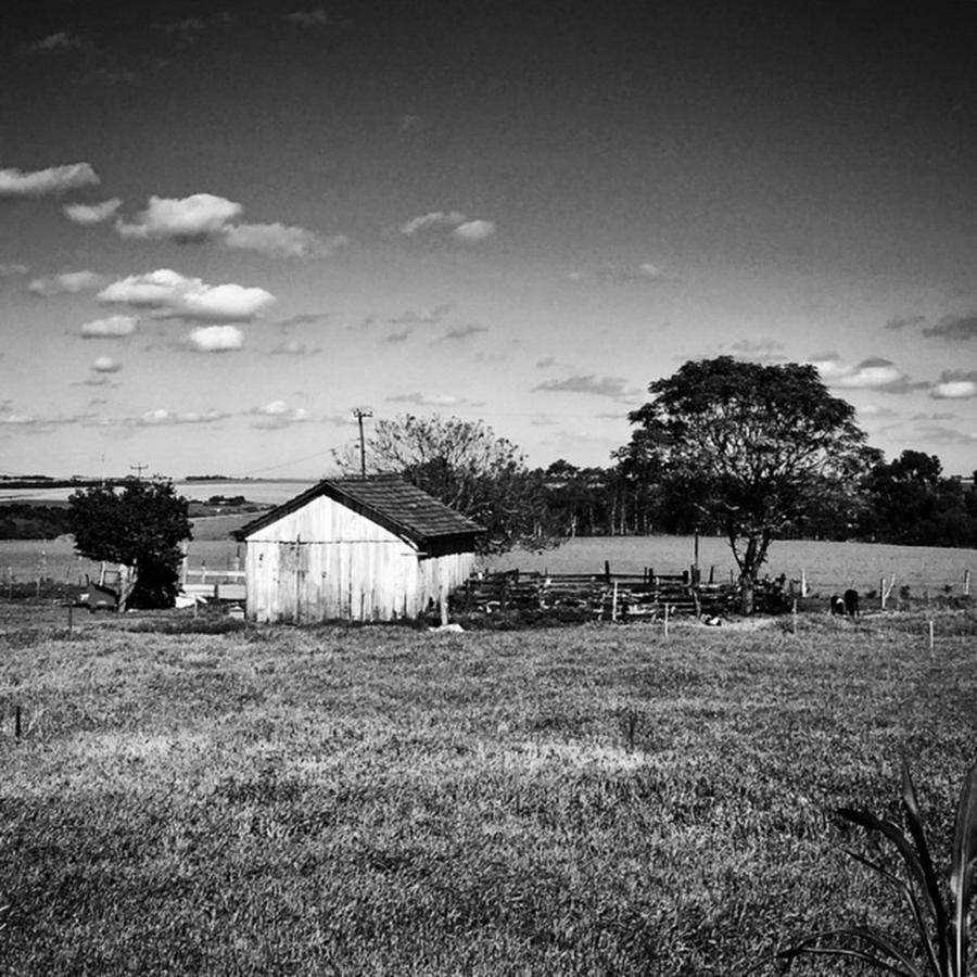 Farm Photograph - Old Barn Farm - Velho Celeiro De by Kiko Lazlo Correia
