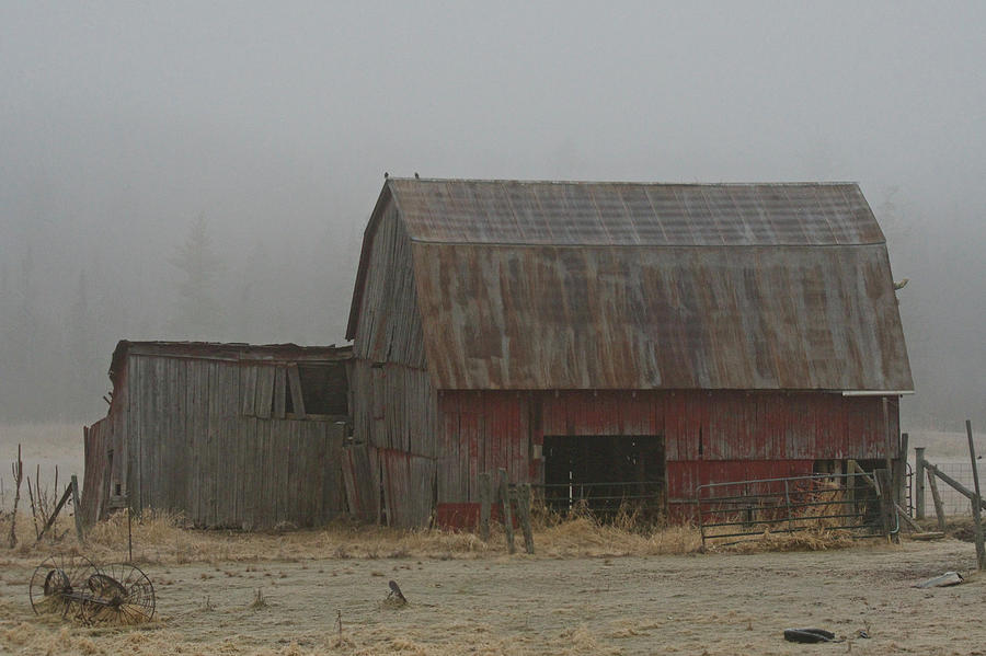 Old Barn Foggy Morning 9147 Photograph by Michael Peychich