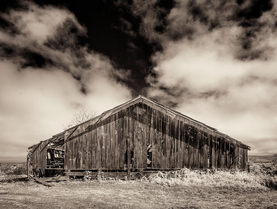 Old Barn Photograph by Greg Nyquist