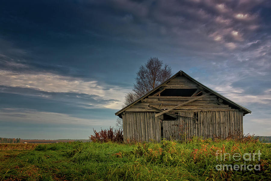 Old Barn House On The Autunm Fields Photograph by Jukka Heinovirta ...