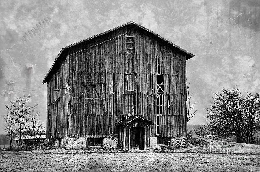 Old Barn in Black and White Photograph by David Arment