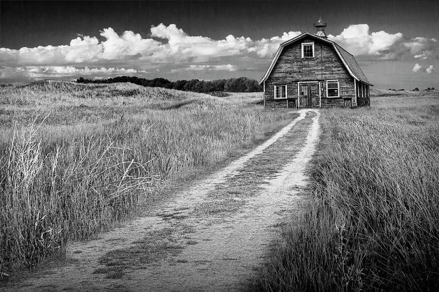 Old Barn in Black and White Photograph by Randall Nyhof