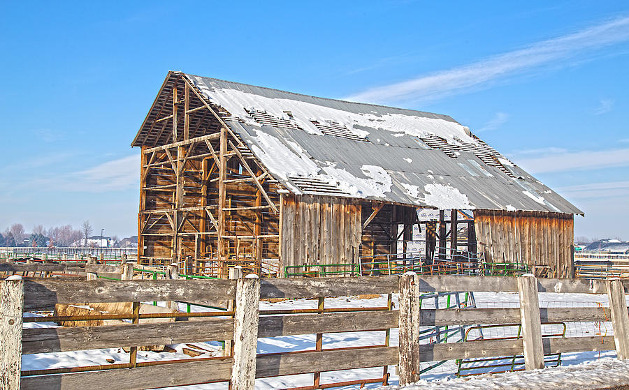Old Barn in Idaho Photograph by Dart Humeston