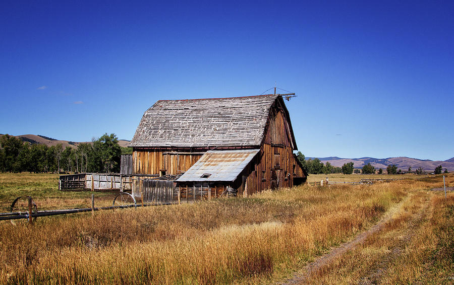 Old Barn in Montana Photograph by Carolyn Derstine
