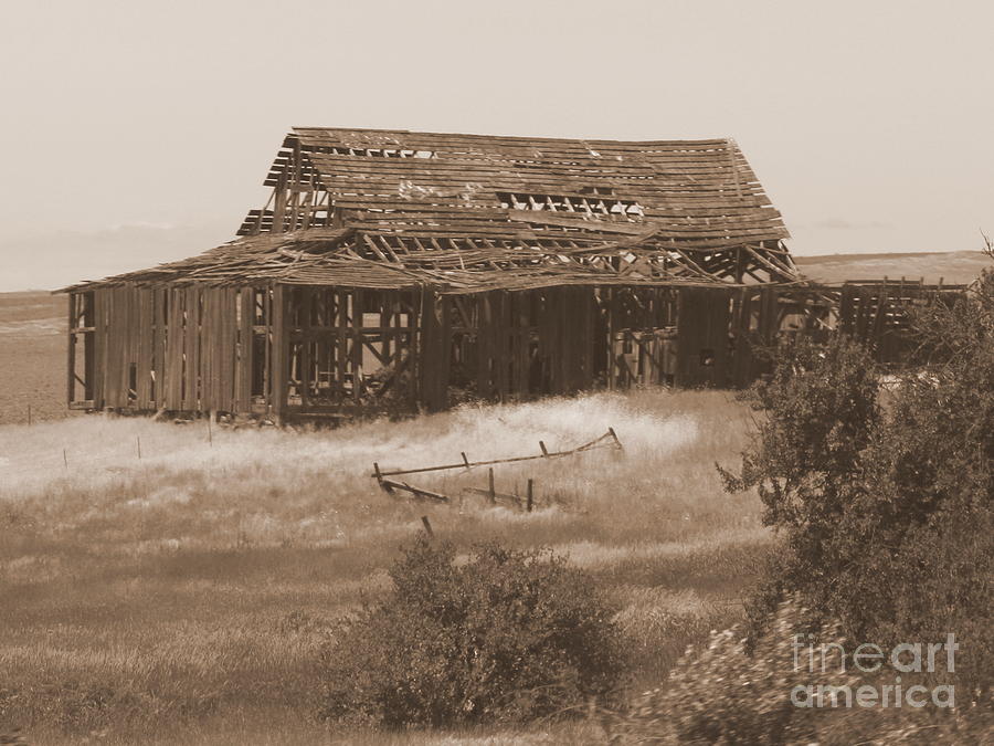 Old Barn in Oregon Photograph by Carol Groenen