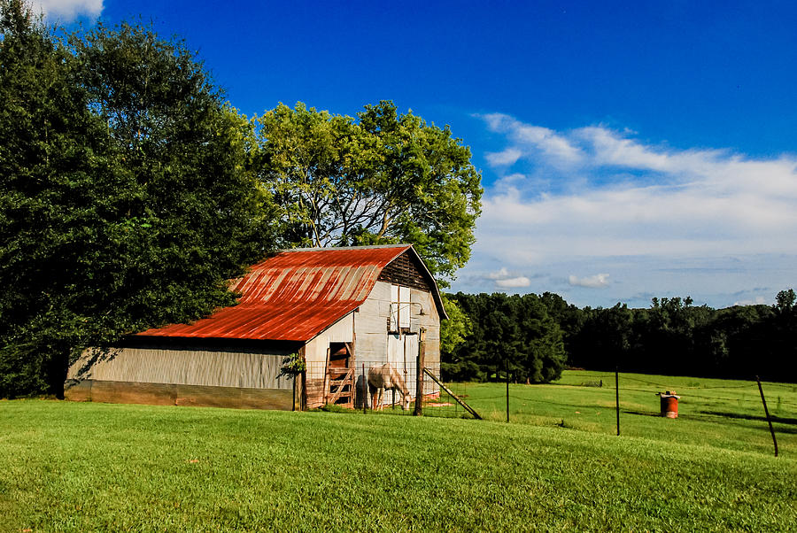 Old Barn In Pasture Photograph by Doug Force